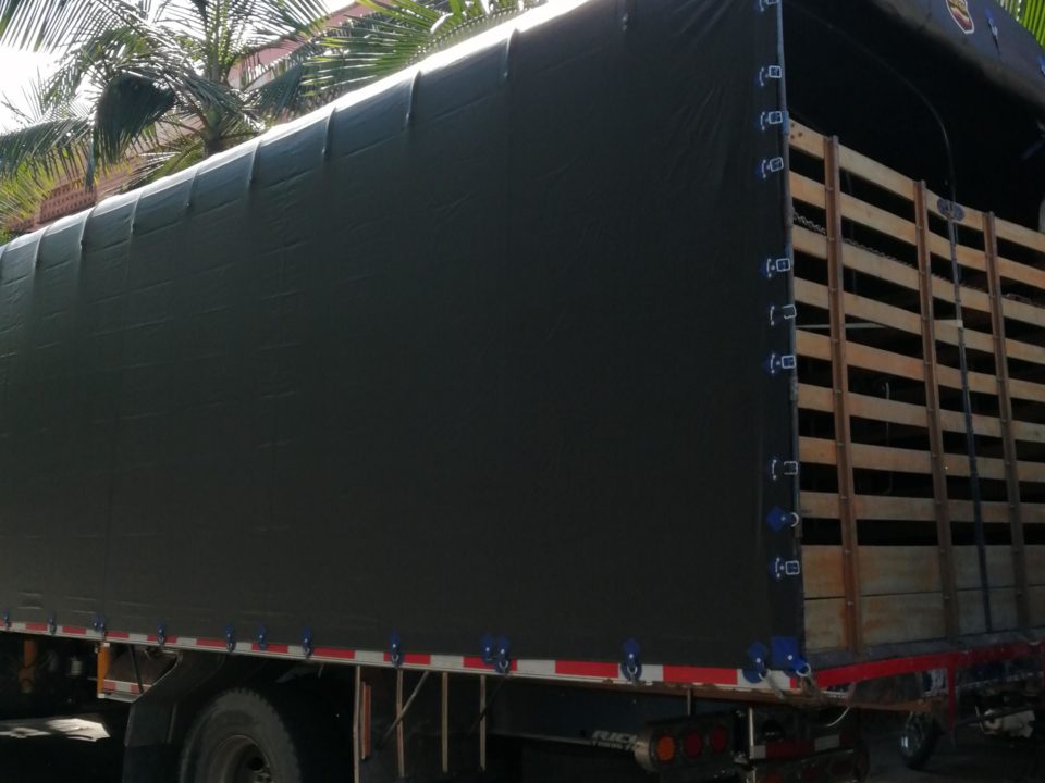 Carpa de Camión - Chapetas Azules